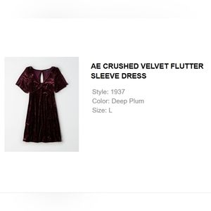 AE Crushed Velvet Flutter Sleeve Dress, size L, 90s-style empire waist